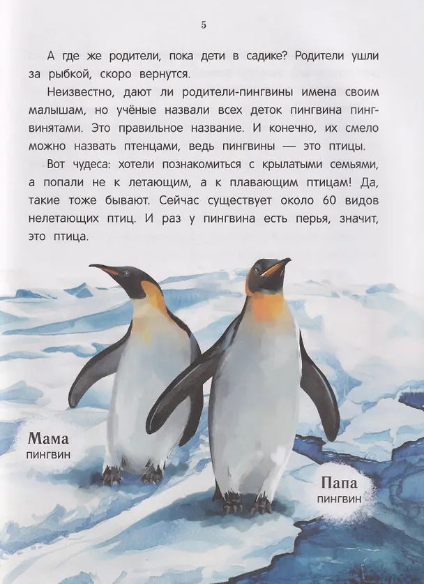 Книга Павлиненок? Цыпленок! Крылатые семьи: факты и игры (Наталья Короткова) — 4