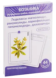Ботаника. Систематика грибов, водорослей, растений. Подклассы магнолииды, ранункулиды, кариофиллиды, гамамелидиды, дилленииды. 44 карточки