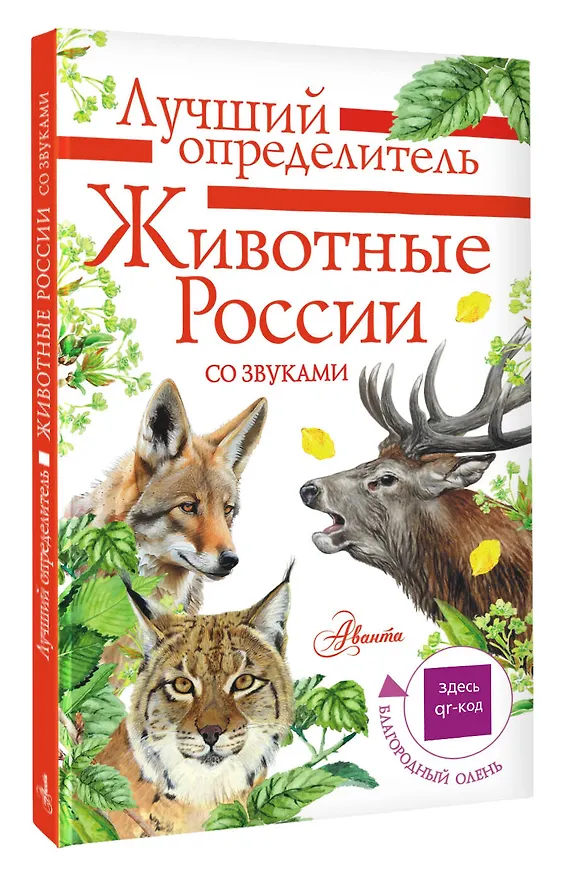 Книга Животные России со звуками. Определитель (Ирина Бёме) — 3