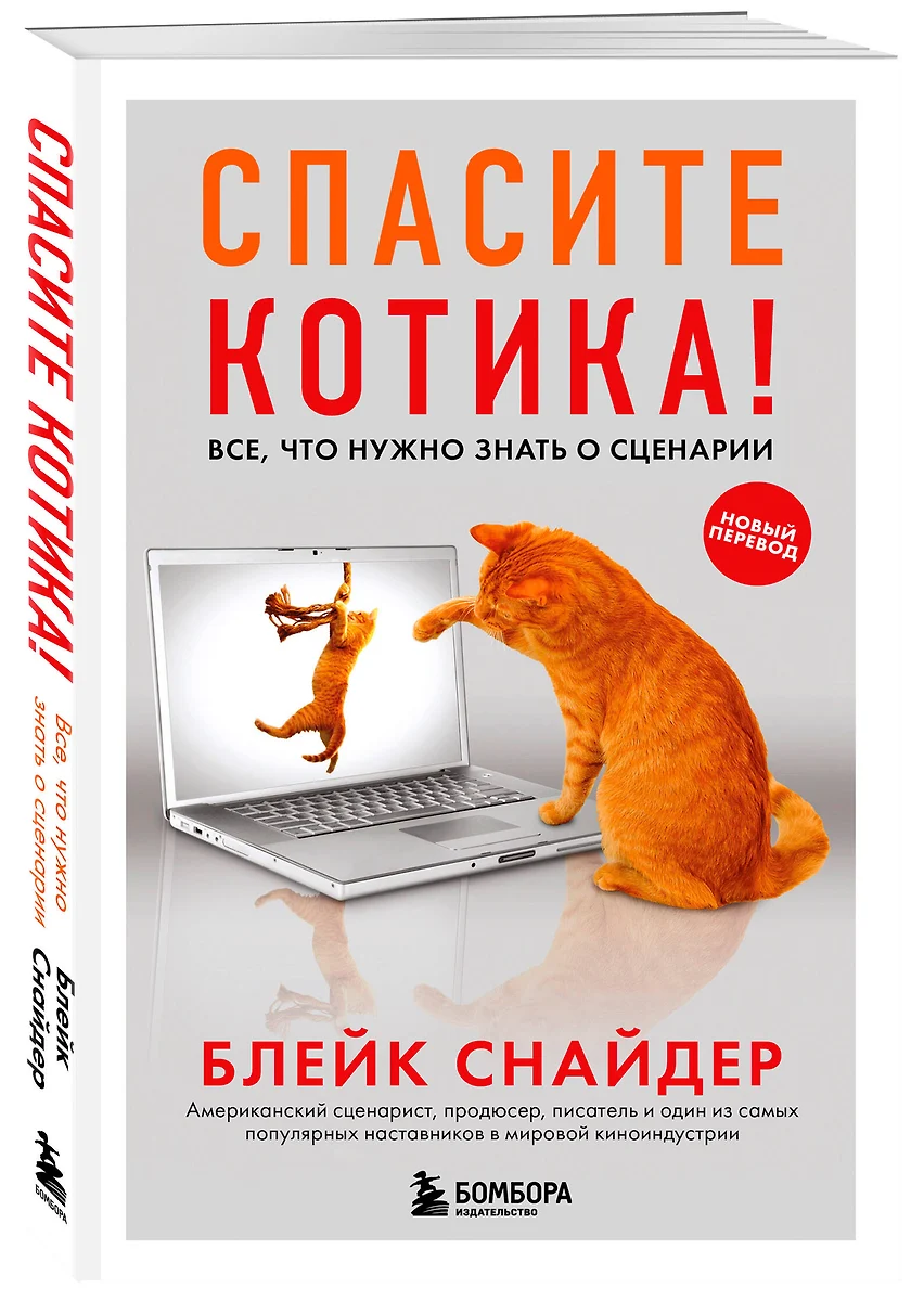 Спасите котика! Все, что нужно знать о сценарии (обновленное издание)