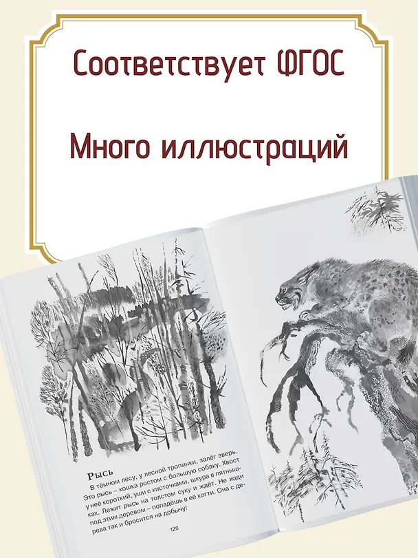 Книга Друзья (Евгений Чарушин) — 7