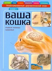 Книга Ваша кошка. Иллюстрированный диагностический атлас. Здоровье, первая помощь (Георгий Галанин)