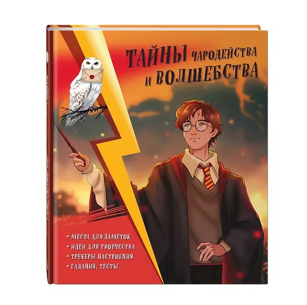 Книга Тайны чародейства и волшебства. Книга творчества и вдохновения (Гарри) () — 4