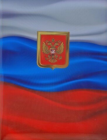 Папка для документов Флаг (531226) 2360668 — 1