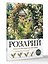 Розарий. Готовые решения: розы от посадки до зимовки — 3181823 — 3