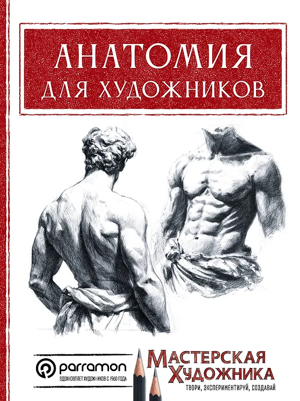 Книга Анатомия для художников (Давид Санмигель) — 1