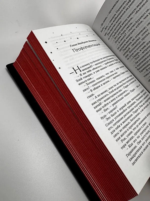 Книга Гарри Поттер и Орден Феникса (Гриффиндор) (Джоан Кэтлин Роулинг) — 11