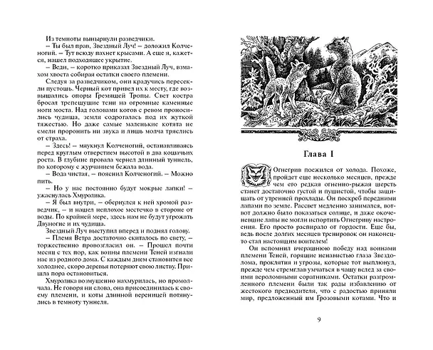 Книга Огонь и лед (Эрин Хантер) — 4