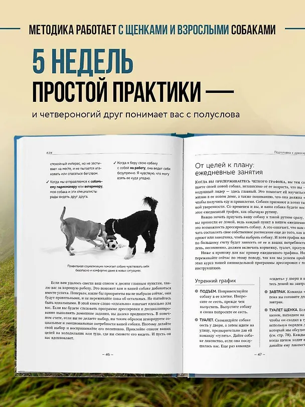 Книга Дрессировка без наказания. 5 недель, которые сделают вашу собаку лучшей в мире (Дон Сильвия-Стасиевич, Кей Ларри) — 7