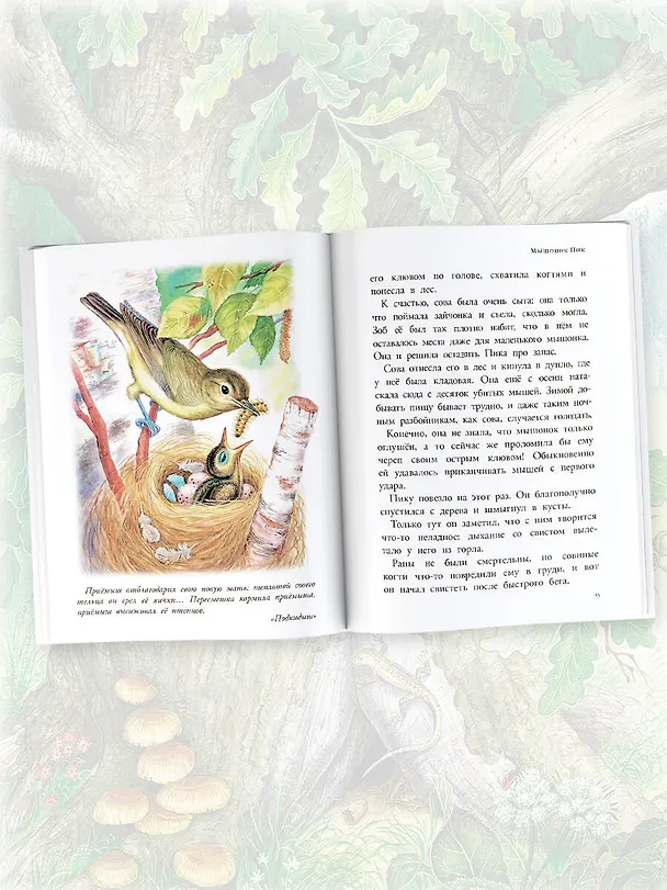 Книга Мышонок Пик. Рассказы о животных (Виталий Бианки) — 5