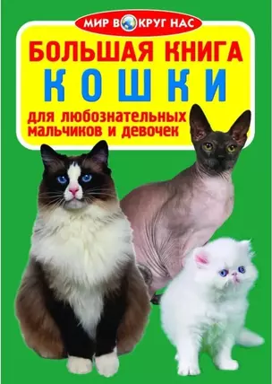 Большая книга. Кошки — 5328166 — 1