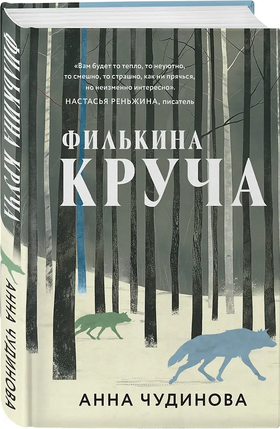 Книга Филькина круча (Анна Чудинова) — 4