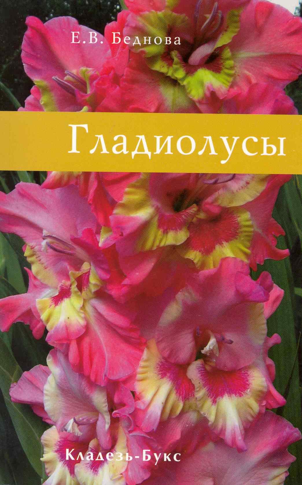 

Гладиолусы