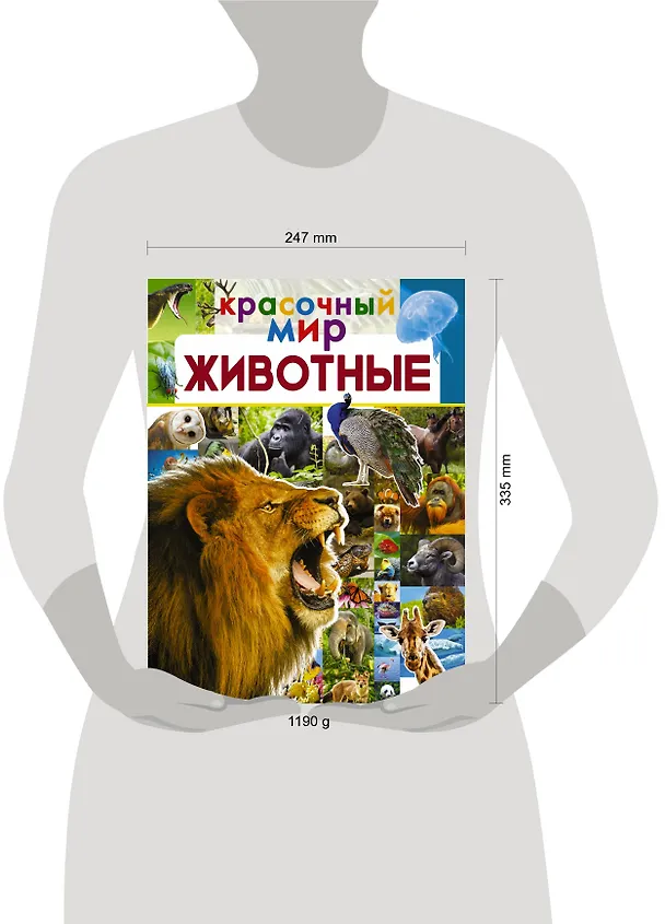 Книга Животные (Любовь Вайткене) — 4