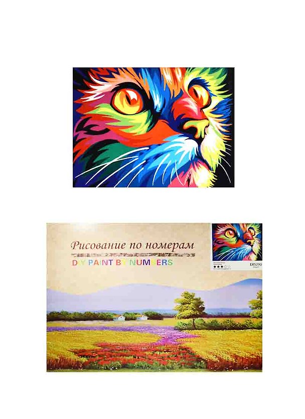 Набор для творчества, Картина по номерам Котик фэнтези (EX5290) (30х40) (6+) (коробка) 2517915 — 1