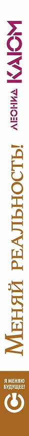 Книга Интуитивные тексты-шифры, пробивающие бетонную стену (Леонид Каюм) — 3