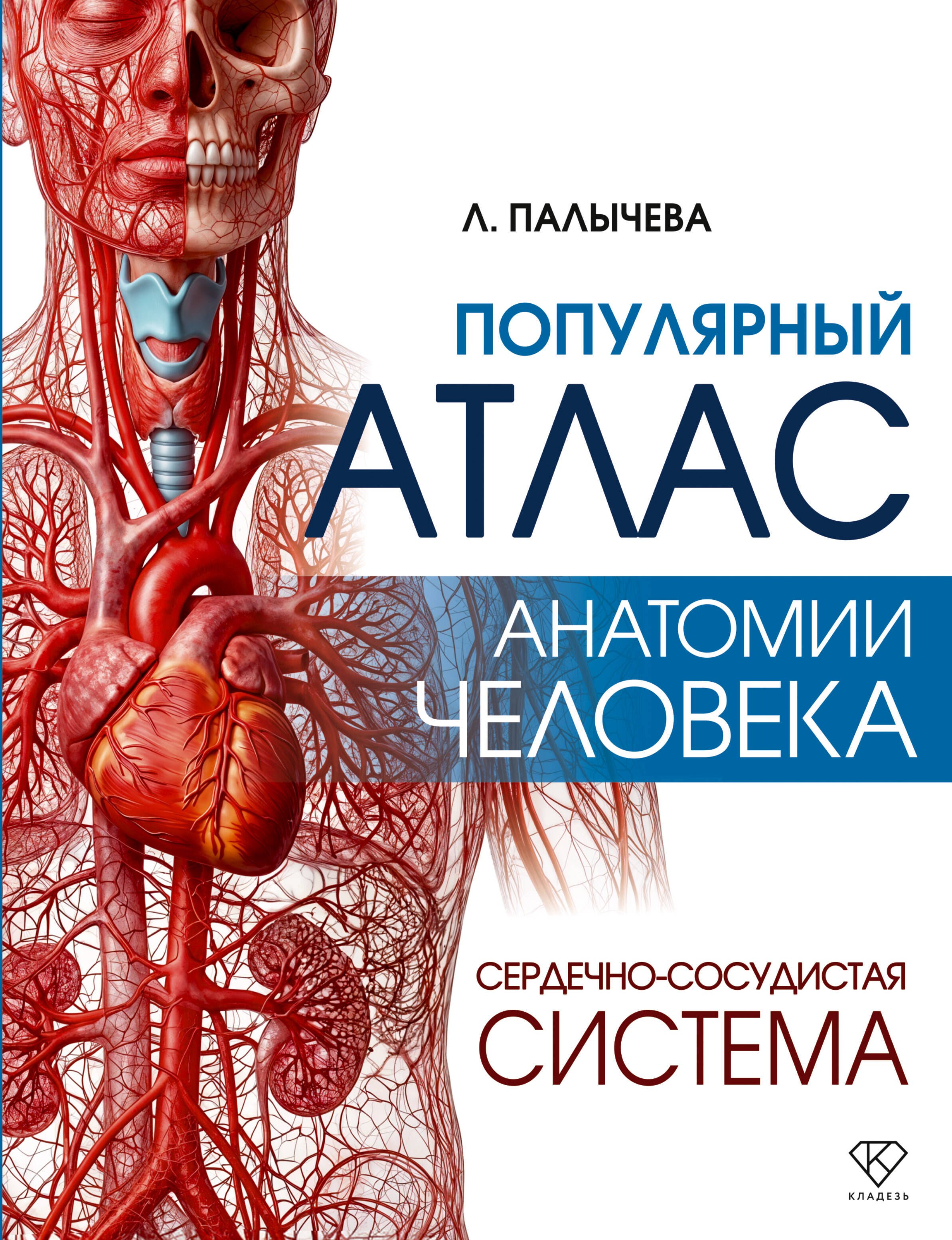 Палычева Любовь Николаевна Популярный атлас анатомии человека. Сердечно-сосудистая система