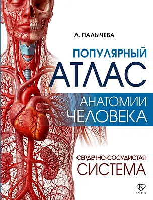 Книга Популярный атлас анатомии человека. Сердечно-сосудистая система (Любовь Палычева)