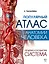Популярный атлас анатомии человека. Сердечно-сосудистая система — 3172476 — 1