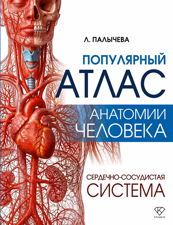 Книга Популярный атлас анатомии человека. Сердечно-сосудистая система (Любовь Палычева) — 1