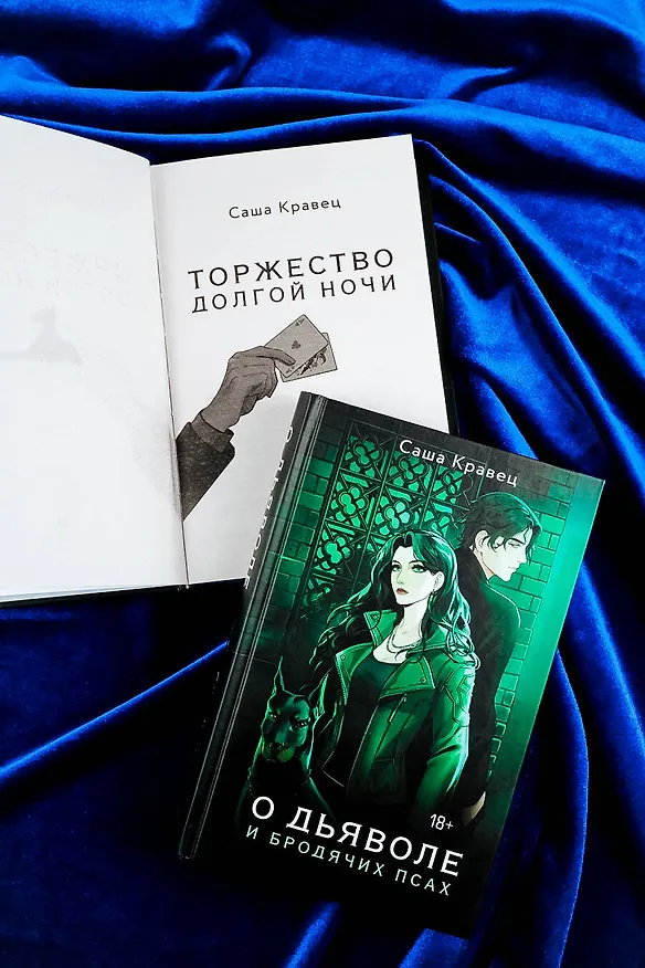 Книга О дьяволе и бродячих псах (Саша Кравец) — 9