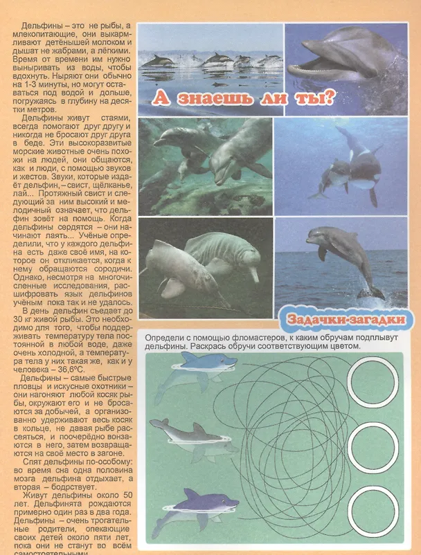 Книга Кто живет в море? Для детей 4-6 лет () — 5