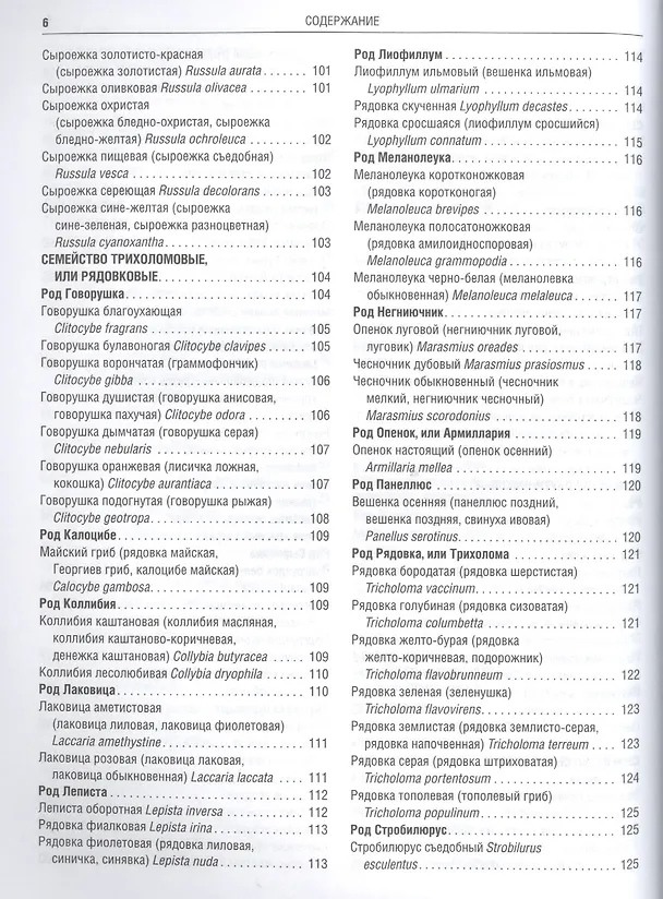 Книга Грибы Полная илл. энциклопедия Более 400 видов грибов... (Куреннов) () — 8