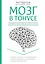 Питание для мозга. Эффективная пошаговая методика для усиления эффективности работы... (ISBN 978-5-699-66136-7  в новом оформлении: "Мозг в тонусе") — 2477917 — 1