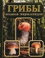 Грибы. Большая энциклопедия