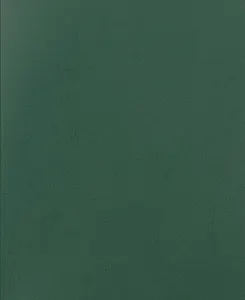 Тетрадь в клетку Listoff, "Зеленый бумвинил", 48 листов