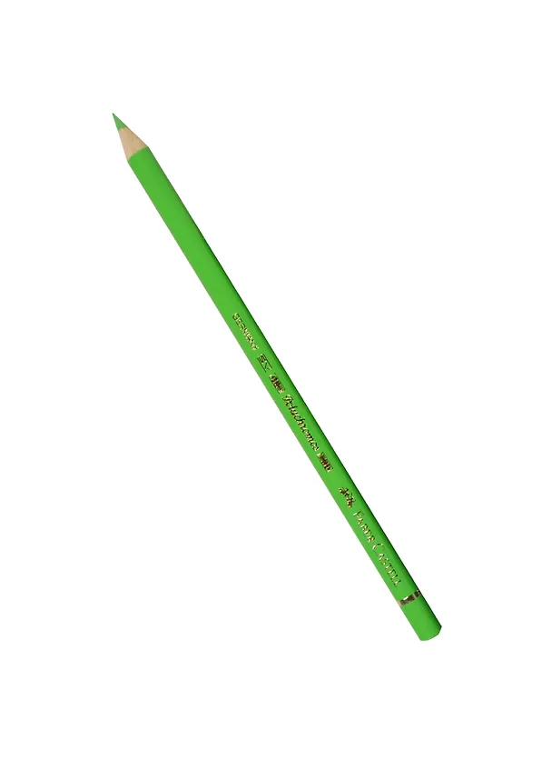 Карандаш "Polychromos" цветной профессиональный 166 трава зел., Faber-Castell 220295 — 1