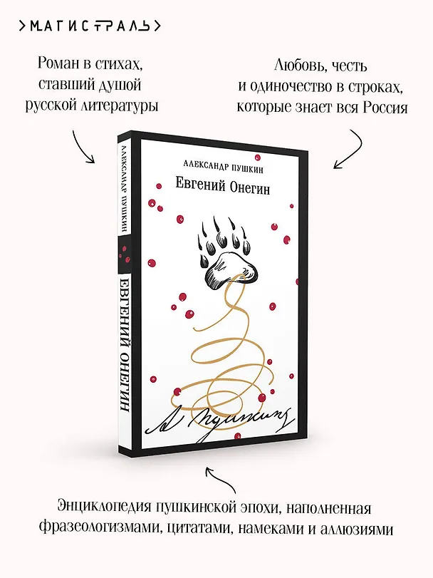 Книга Евгений Онегин (Александр Пушкин) — 8