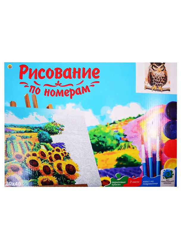 Набор д/творчества Рыжий кот Холст с красками 30х40см по номерам (в коробке) (19цв.) Задумчивая сова Х-2900 2831545 — 2