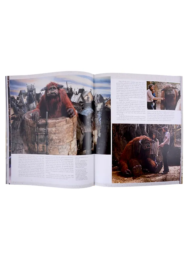 Книга Labyrinth. The Ultimate Visual History (Peter Block) — 5