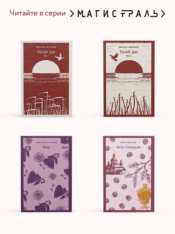 Книга Евгений Онегин (Александр Пушкин) — 9