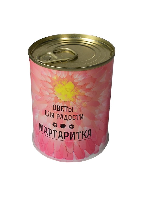 Подарочный набор для выращивания Цветы для радости Маргаритки (410909) 2407577 — 1