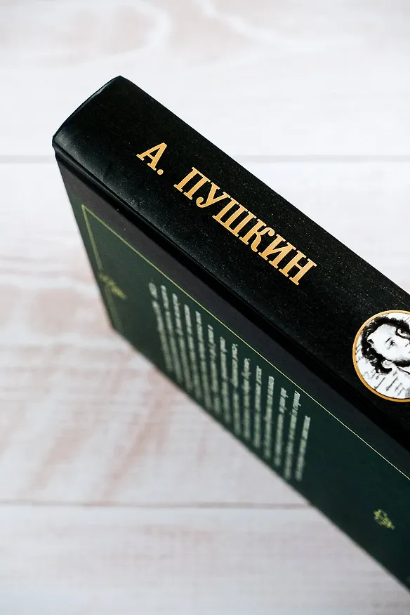 Книга Стихотворения (Александр Пушкин) — 12