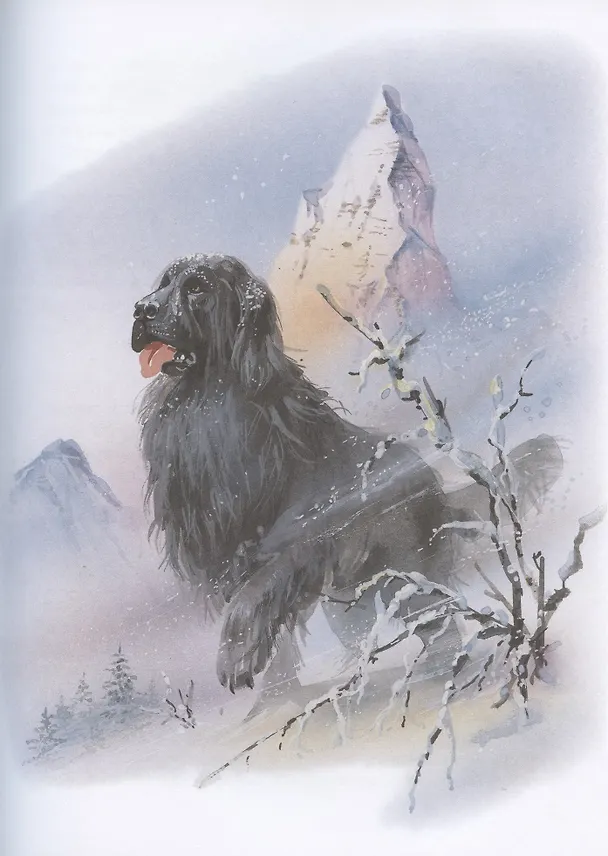 Книга Рассказы, сказки, басни (Лев Толстой) — 8