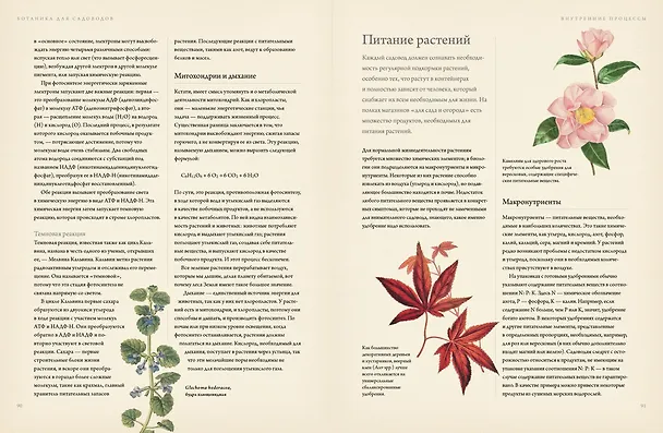 Книга Ботаника для садоводов (Джефф Ходж) — 7