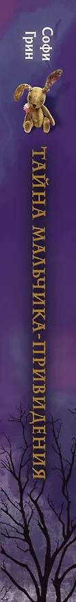 Книга Поткин и Штуббс. Тайна мальчика-привидения (новое оформление) (Софи Грин) — 4
