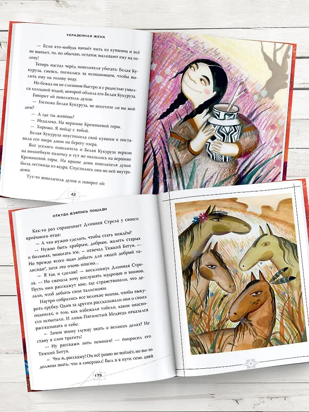 Книга Сказки и мифы Северной Америки (А.В. Ващенко) — 9
