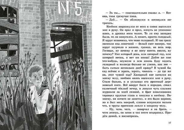 Книга Рыжий (Федор Боровский) — 2