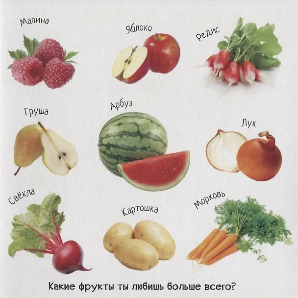 Книга Знакомство с окружающим миром () — 3