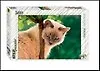 Пазл Step puzzle/Степ Пазл 560эл., 50*34см Синеглазая красавица" 78080" 2281722