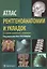 Атлас рентгеноанатомии и укладок : руководство для врачей — 2608718 — 1
