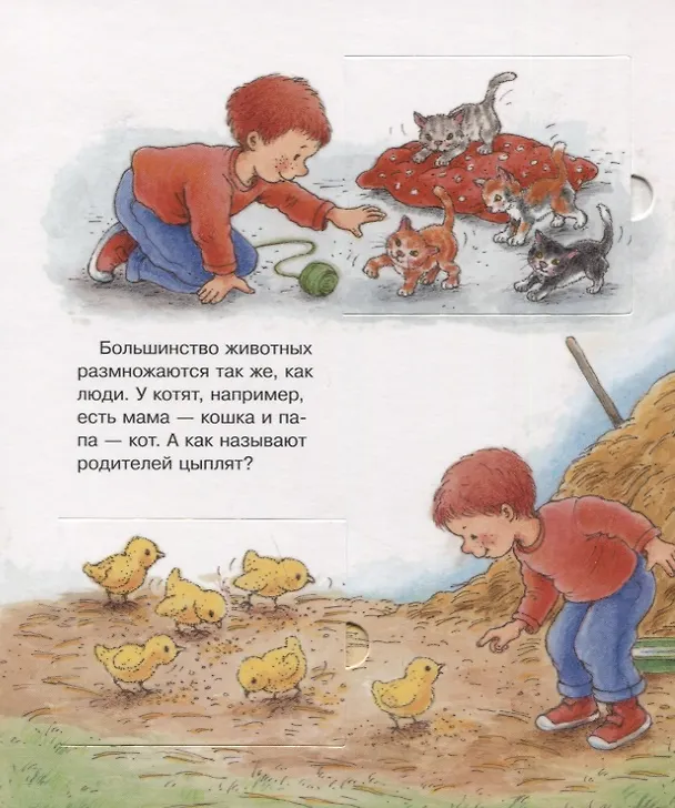 Книга Что? Почему? Зачем? Малышу. Наш малыш (с волшебными окошками) () — 2