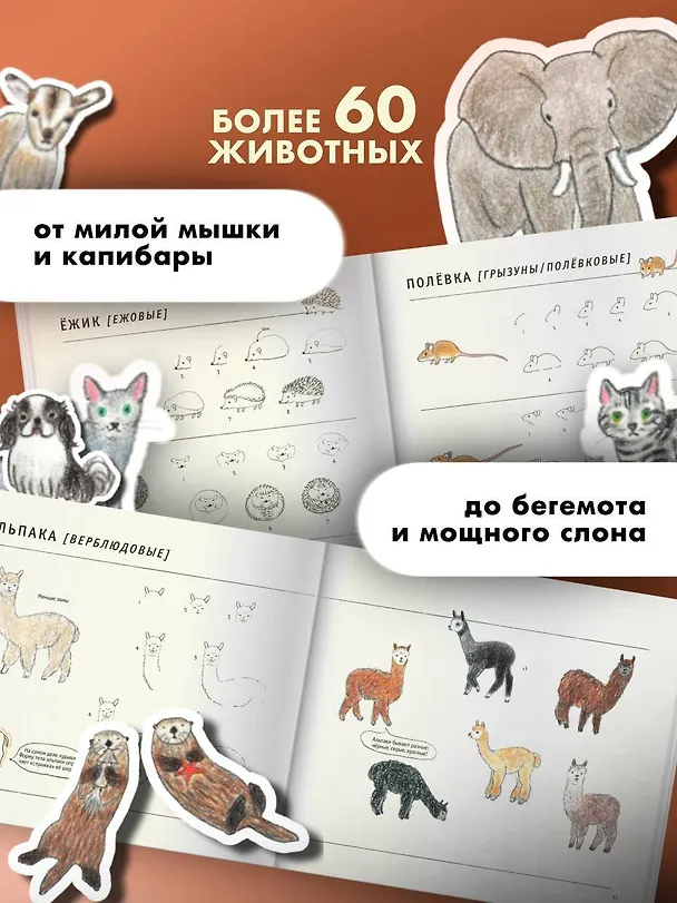 Книга Школа рисования для начинающих: милые животные (Аи Акикуса) — 6