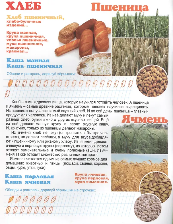 Книга Что у нас на столе? Для детей 4-6 лет () — 2