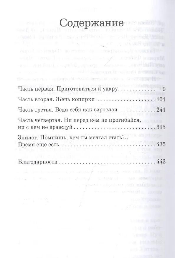 Книга Бортпроводница (Крис Боджалиан) — 3