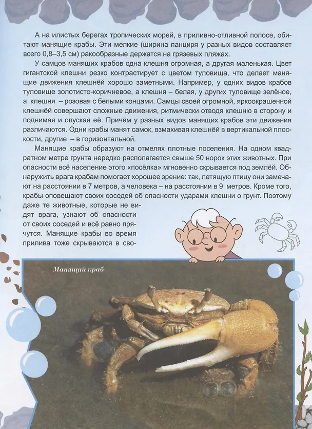 Книга Животные строят (Владимир Бабенко) — 4